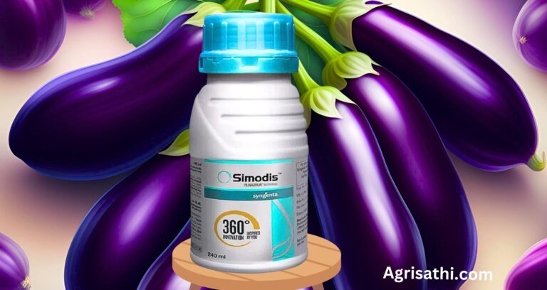 Syngenta Simodis Insecticide