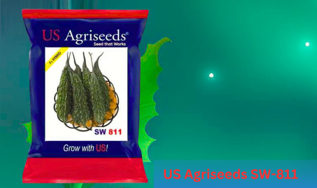 US Agriseeds SW-811