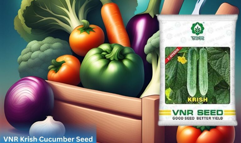 VNR Krish Cucumber Seed