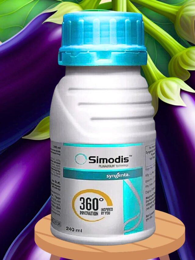 Syngenta Simodis Insecticide