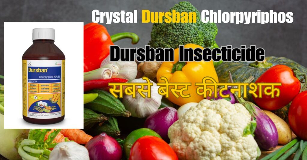 Crystal Dursban Chlorpyriphos