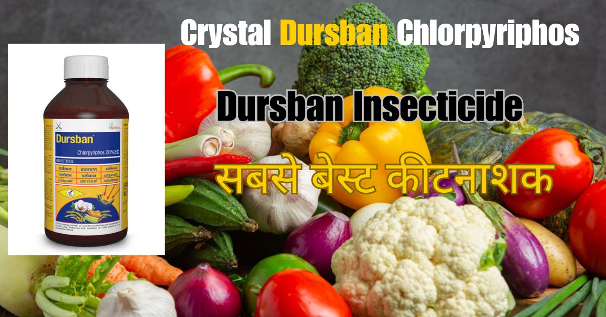 Crystal Dursban Chlorpyriphos